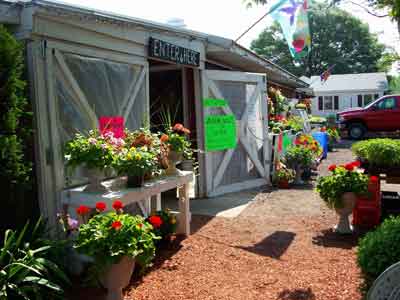 Home — right collage at Budds KnP Farms & Country Market, Pemberton NJ