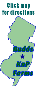 Map and directions to Budd's KnP Farms, 132 Vincentown Road, Pemberton NJ