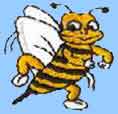 Blue Bee