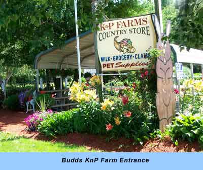 Farm Market — right at Budds KnP Farms & Country Market, Pemberton NJ