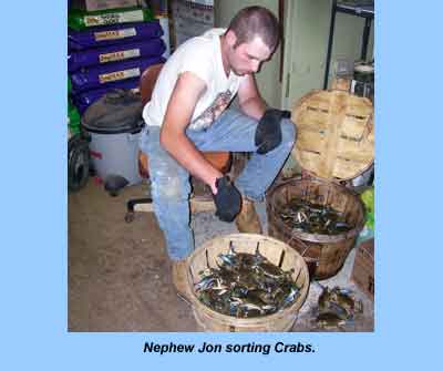 Seafood — main picture at Budds KnP Farms & Country Market, Pemberton NJ