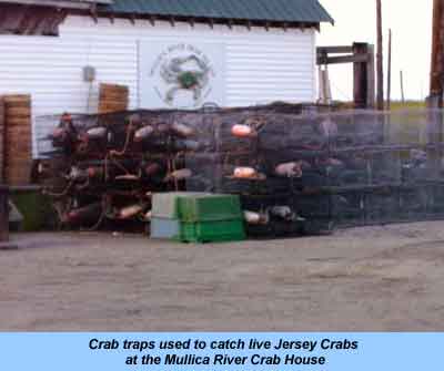 Seafood — main picture at Budds KnP Farms & Country Market, Pemberton NJ