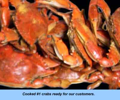 Seafood — right at Budds KnP Farms & Country Market, Pemberton NJ